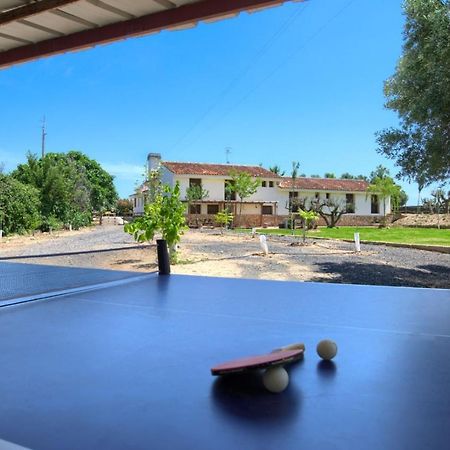 Finca Olivar De La Bardena Vendégház Tudela Kültér fotó
