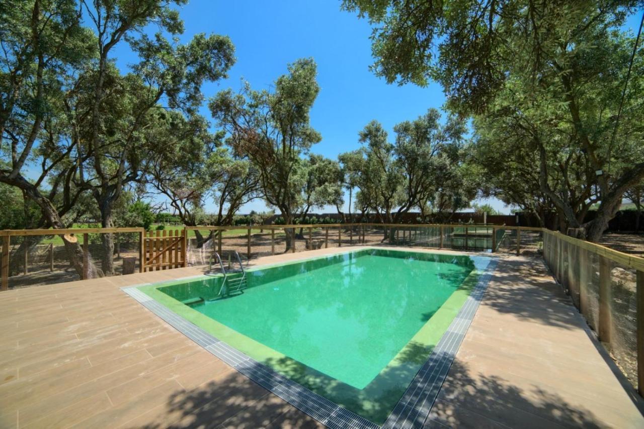 Finca Olivar De La Bardena Vendégház Tudela Kültér fotó